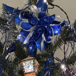 Poukázka na produkty Reiki Orcolus School - Vánoční voucher